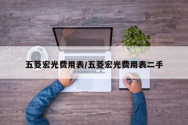 五菱宏光费用表/五菱宏光费用表二手