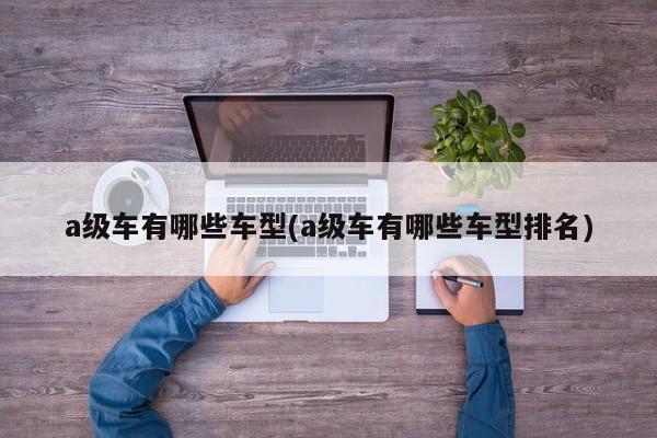 a级车有哪些车型(a级车有哪些车型排名)
